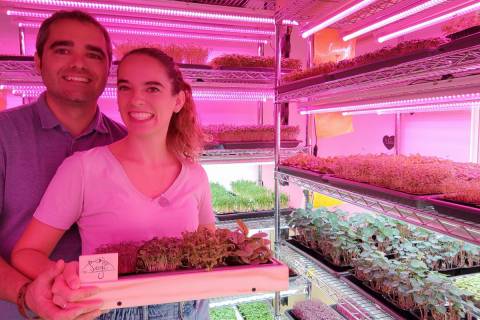 Pedro García Bastida y Eva Reyes Barroso en la cámara de cultivo de microvegetales.